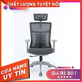 Mua Ghế Công Thái Học Ergonomic WARRIOR – Hero Series – WEC502