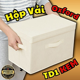 Hộp Đựng Đồ Đa Năng TD1 – Túi Vải Đựng Quần Áo Chăn Màn Phong Cách Thụy Điển Sang Trọng, Lịch Sự – Hàng Chính Hãng