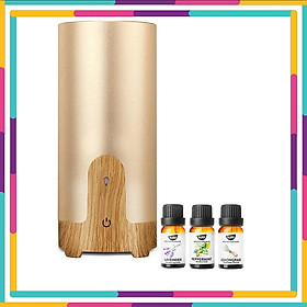 Mua Máy Xông Tinh Dầu Xe Hơi Cao Cấp Gx02 | Giúp Tạo Hương  Khử Mùi  Chống Say Xe | Tặng 3 Chai Tinh Dầu Kobi Sả Chanh + Bạc Hà + Oải Hương Nhập Khẩu Ấn Độ