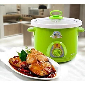 Mua NỒI KHO CÁ  KHO THỊT BẰNG ĐIỆN ĐA NĂNG