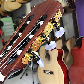 Mua Khoá đàn classic vàng đồng không rỉ - Tay nhựa dễ vặn - Đặt hàng tặng pick