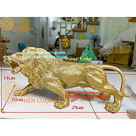 Mua Tượng Sư Tử Màu Vàng Bằng Đồng Nguyên Chất Kích Thước 29x10x14cm  Nặng 1 6Kg - Biểu Tượng Sức Mạnh