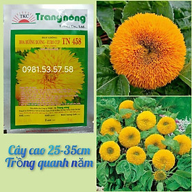 Mua Hơn 40 hạt giống hướng dương xù (hướng dương gấu) Trang Nông