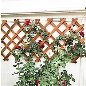 KHUNG HOA LEO GỖ XẾP GỌN - Dùng làm khung leo cho cây hoa leo - Tạo thêm điểm nhấn mảng xanh cho không gian nhà 