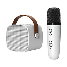 Portable Bluetooth Speaker with Wireless Microphone, Portable Speaker System, Handheld  Mics Speaker Machine, for Travel, Family, Birthday