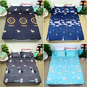 Bộ ga gối cotton poly, được chọn mẫu, gồm 1 ga chun và 2 áo gối