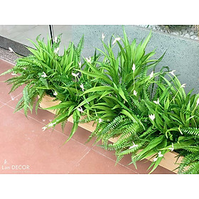 BỒN LAN TRẮNG TRANG TRÍ TIỂU CẢNH - BC080