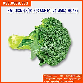 Hạt Giống Súp Lơ Xanh Marathone F1 gói  3.300 Hạt