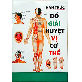 Đồ Giải Huyệt Vị Cơ Thể (Tái Bản)