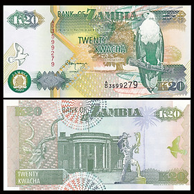 Mua Tiền Zambia 20 Kwacha hình con chim   tiền châu Phi   Mới 100% UNC