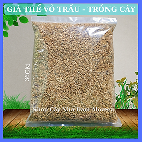 Mua Trấu sống - Giá thể trấu sống trồng cây