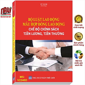 Sách Bộ Luật Lao Động – Mẫu Hợp Đồng Lao Động – Chế Độ Chính Sách Tiền Lương, Tiền Thưởng – V2240D