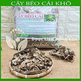 CÂY BÈO CÁI khô sạch đóng gói 1kg