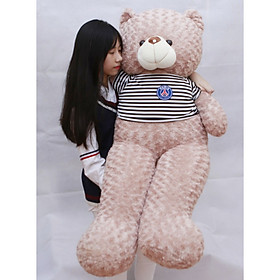 Gấu bông gấu Teddy ngộ nghĩnh cao cấp khổ vải 1m6 cao...