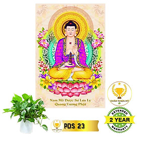 Mua Tranh Phật Dược Sư có khung_DSK3
