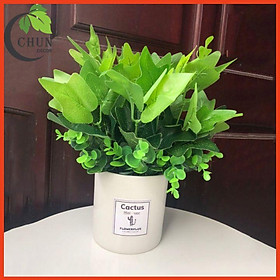 Mua Chậu Cây Để Bàn Cây Giả Decor Cao 25-50cm Nhiều Mẫu Cắm Sẵn Trang Trí Nhà Cửa Văn Phòng