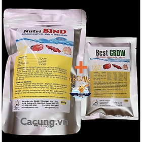 Combo Chất kết dinh Nutri Bind 400g và Vitamin Best Grow 100g trộn tôm tim bò thức ăn cho cá