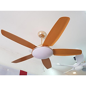 Mua quạt trần  trang trí có đèn có điều khiển