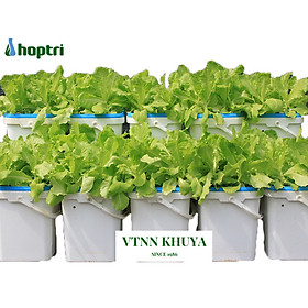 Bộ 1 chậu trồng rau ăn lá thủy canh tĩnh Growbox Leafy Kit 1 Hợp Trí Không bao gồm phân bón thủy canh