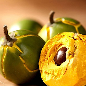 Cây Giống Lê Ki Ma, Cây Giống Lekima, Cây Giống Quả Trứng Gà, Cây Trứng Gà