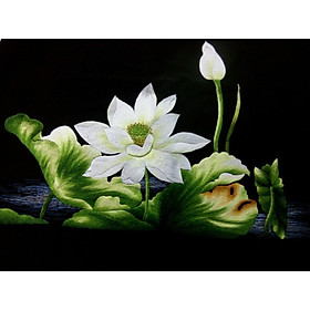 Mua Hoa sen trắng - pq410 - 53x68cm