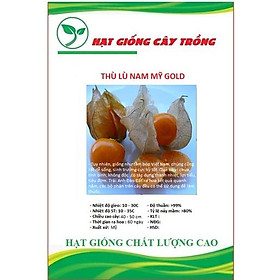 Mua Hạt Giống Thù Lù Nam Mỹ Gold CT188 - Gói 50 hạt