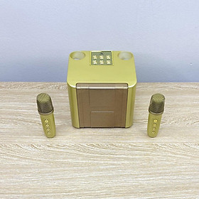 Mua Loa bluetooth YS-111 kèm 2 micro không dây  ( Hàng Chính Hãng )