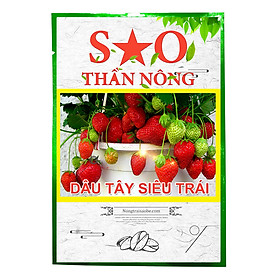 Hạt giống Dâu Tây Đỏ Sao thần Nông quả to năng suất chịu nhiệt