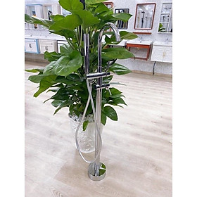 Mua sen bồn tắm.Sen bồn cao cấp