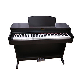 Đàn piano điện dynatone SLP 210