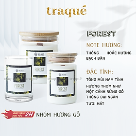 Nến thơm Candle Cup/Agaya - Hương Gỗ FOREST