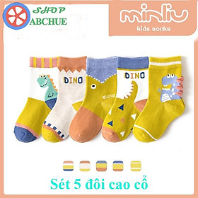 Tất Vớ Trẻ Em Minliu Hình khủng long Cho Bé Từ 1 12 Tuổi Chất Cotton Set 5