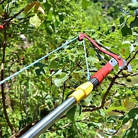 Mua Đầu Kéo Cắt Cành Cây Trên Cao  Tỉa Cây Cảnh  Hái Hoa Quả