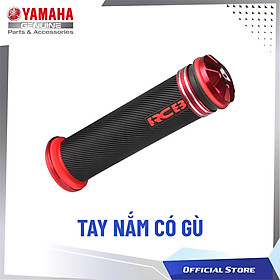 TAY NẮM CÓ GÙ