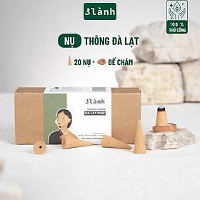 Nụ Thủ Công Thông Đà Lạt 3 Lành Hộp 20 Mùi 100 % Tự Nhiên Tặng Kèm Đế Chăm, Không Hóa Chất Xông Thơm - 2 Hộp Thông Đà Lạt