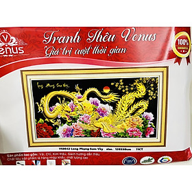 Mua Tranh thêu kín Long phụng sum vầy vs8042  kích thước 120 x 60 cm