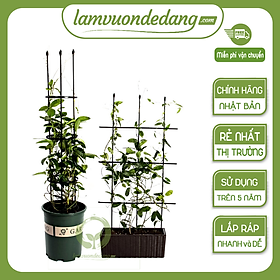 Mua KHUNG HOA BỤI ĐA CHỨC NĂNG  - KHUNG TRỒNG CÂY  GIÁ ĐỠ - Dùng để làm khung giá đỡ cho cây hoa leo  hoa hồng leo