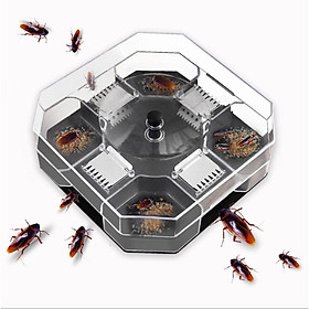 Mua Máy bắt gián thông minh không độc hại