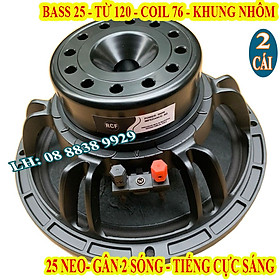 Mua CẶP CỦ BASS 25 RCF TỪ NEO 120MM COIL 76MM CAO CẤP TIẾNG SÁNG MỊN HÀNG NHẬP KHẨU