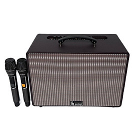 Mua Loa kéo di động T17 / T19 loa 1 Bass 25cm thùng gỗ kèm 2 micro vỏ nhôm UHF