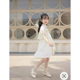 Rập giấy mã R493 - bản vẽ