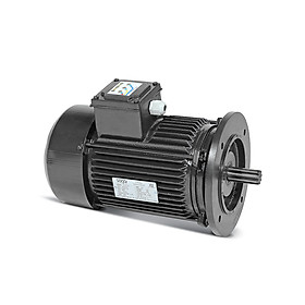 Motor quạt nước ao tôm Sagar 0.75kW 4P 3 pha 380V 50Hz  IE2 Class H - Hàng chính hãng