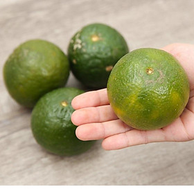 [ Chỉ giao Bình Dương] - Cam sành loại 3 - 1kg