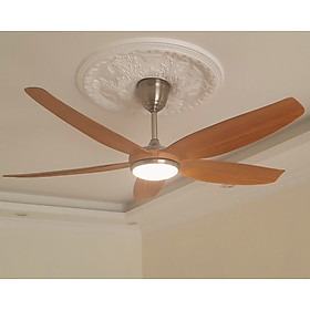Mua Quạt trần trang trí  quạt trần đèn  quạt trần hiện đại màu vân gỗ động cơ Dc cực khỏe điều khiển từ xa 6 tốc độ gió quay tiến lùi  làm mát hút ẩm  tạo điểm nhấn đắt giá cho mọi không gian nội thất 410