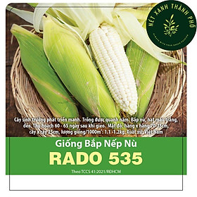 Mua Hạt giống bắp nếp nù  50gr