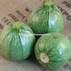 Mua 10H - HẠT GIỐNG BÍ NGÒI TRÒN