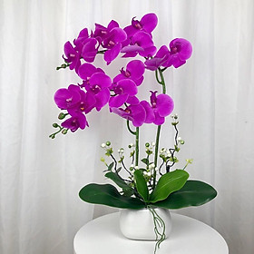 Mua Bình Hoa Giả Để Bàn Hoa Lan Hồ Điệp Sang Trọng Cao 60cm Trang Trí Nhà Cửa Làm Quà Tặng Ý Nghĩa DG-27