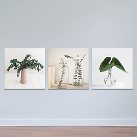 Mua Bộ 3 tranh trang trí  Lọ và cây xanh  | Tranh treo tường hoa lá W3401 Canvas