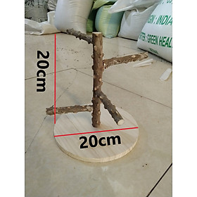 CẦU ĐỨNG GỖ GẠO ĐỂ BÀN PRCD1 DÀNH CHO CHIM, VẸT