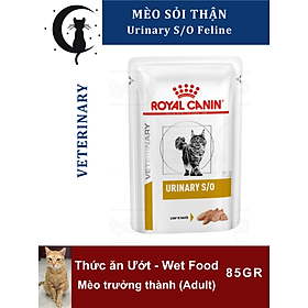 Royal Canin Pate Urinary S/O - Mèo Sỏi thận 85Gr